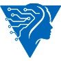 Vidyatech LLC